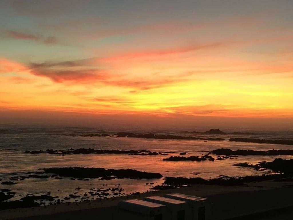 Perfect Sea View Lejlighed Vila do Conde Eksteriør billede
